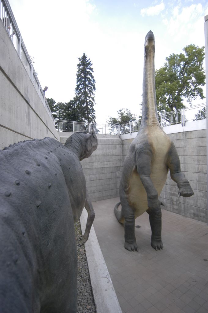 Go to the Camarasaurus and Ceratosaurus page