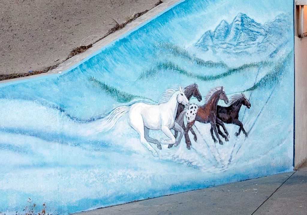 Go to the Rocky Mountain Majesty page