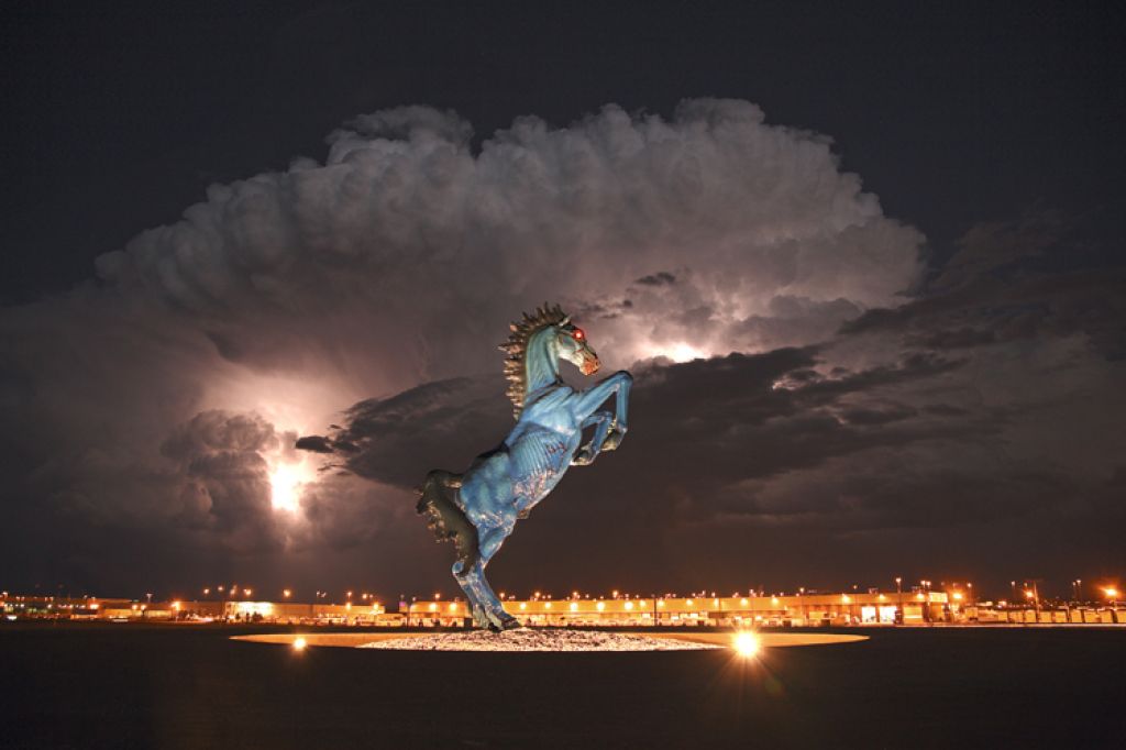 Go to the Mustang/Mesteño page