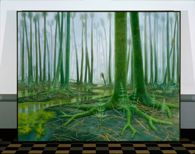 Ancient Colorado; Pole Forest